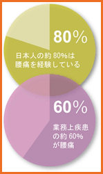 日本人の約80％が腰痛を経験している。※データーグラフ